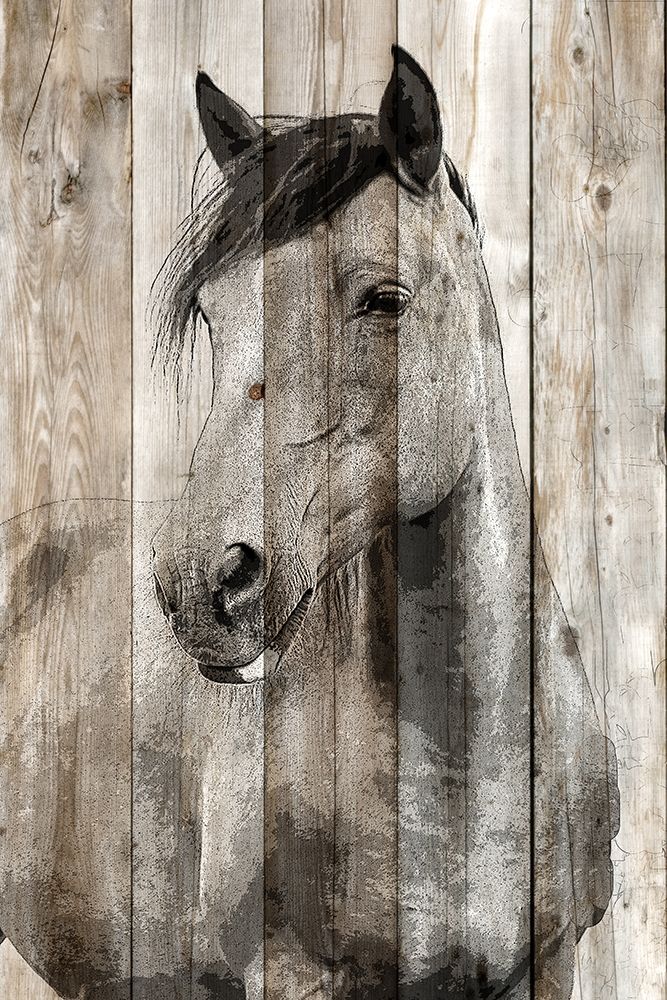 Young 1 art print by Kimberly Allen for $57.95 CAD