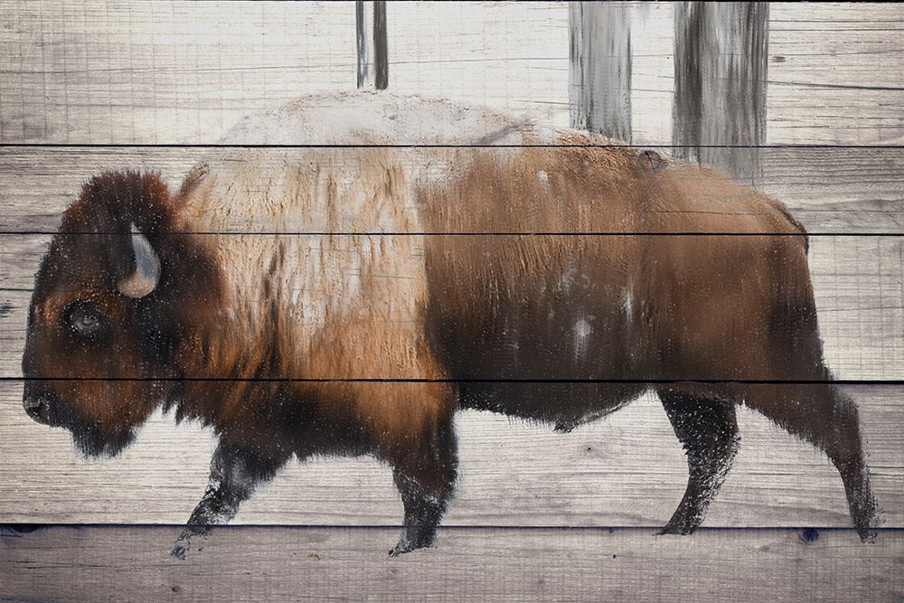 Winter Bison art print by Kimberly Allen for $57.95 CAD