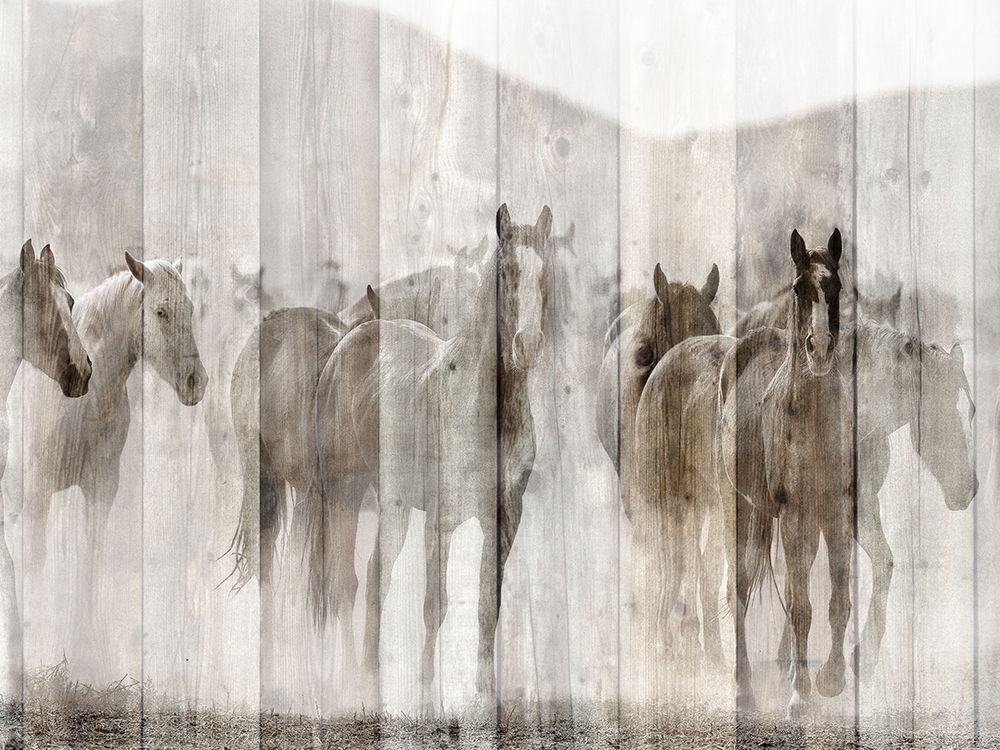 Herd art print by Kimberly Allen for $57.95 CAD