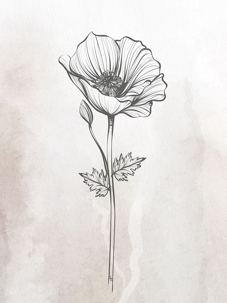 Stone Floral 1 art print by Kimberly Allen for $57.95 CAD