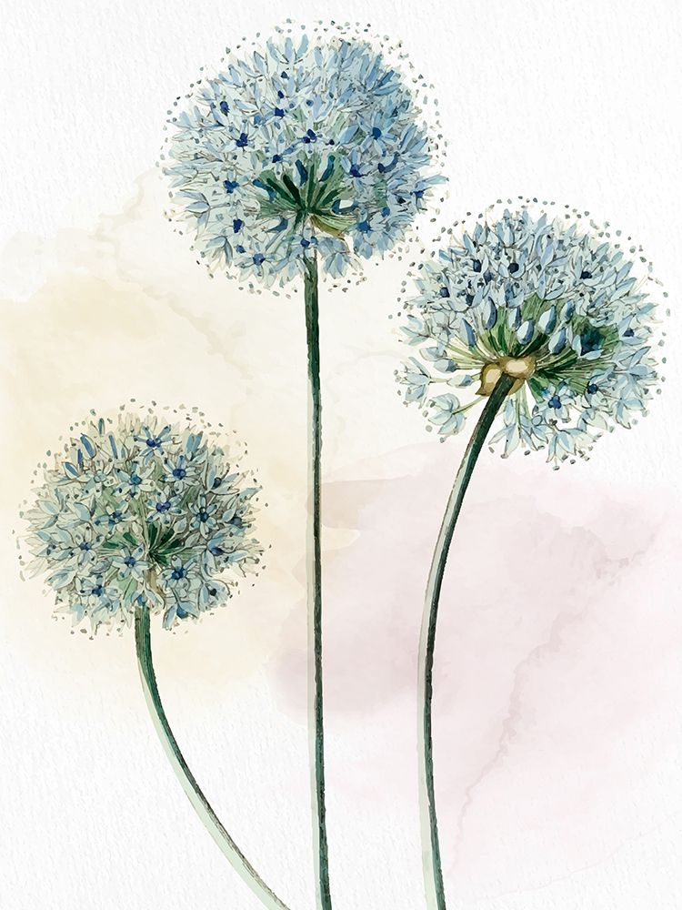 Watercolor Dandelion art print by Kimberly Allen for $57.95 CAD