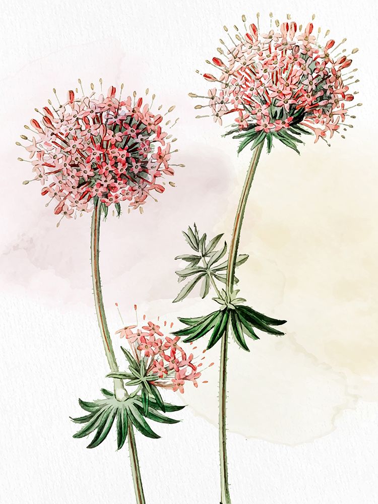 Watercolor Crosswort art print by Kimberly Allen for $57.95 CAD