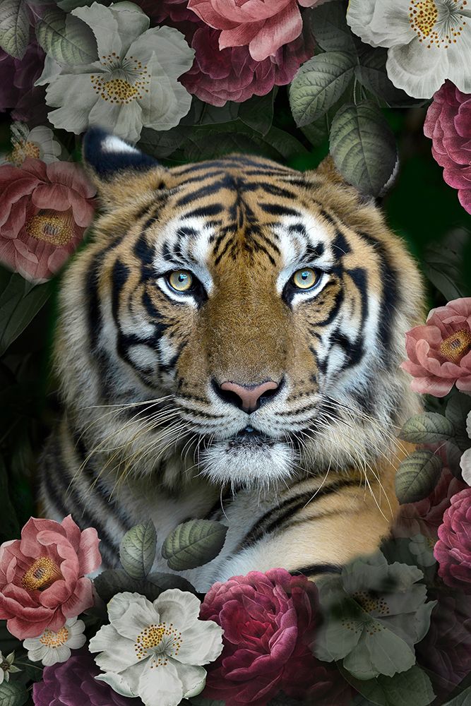 Lush Garden Tiger art print by Kimberly Allen for $57.95 CAD