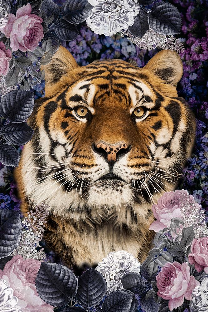 Tiger Deep Floral art print by Kimberly Allen for $57.95 CAD