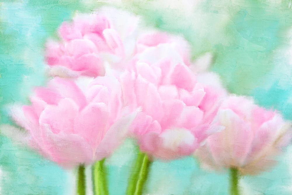 Pretty Pink art print by Kimberly Allen for $57.95 CAD