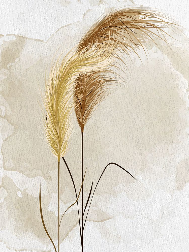 Organic Pampass 2 art print by Kimberly Allen for $57.95 CAD