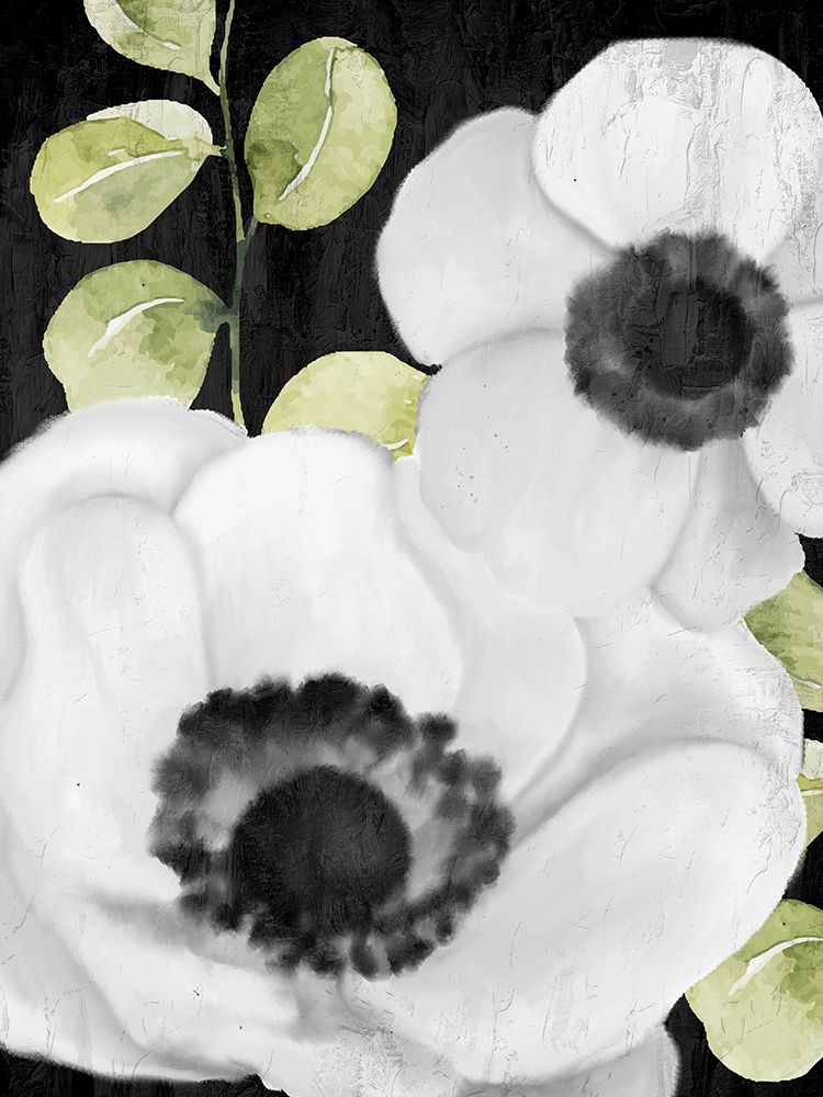 Anemone On Black 1 art print by Kimberly Allen for $57.95 CAD