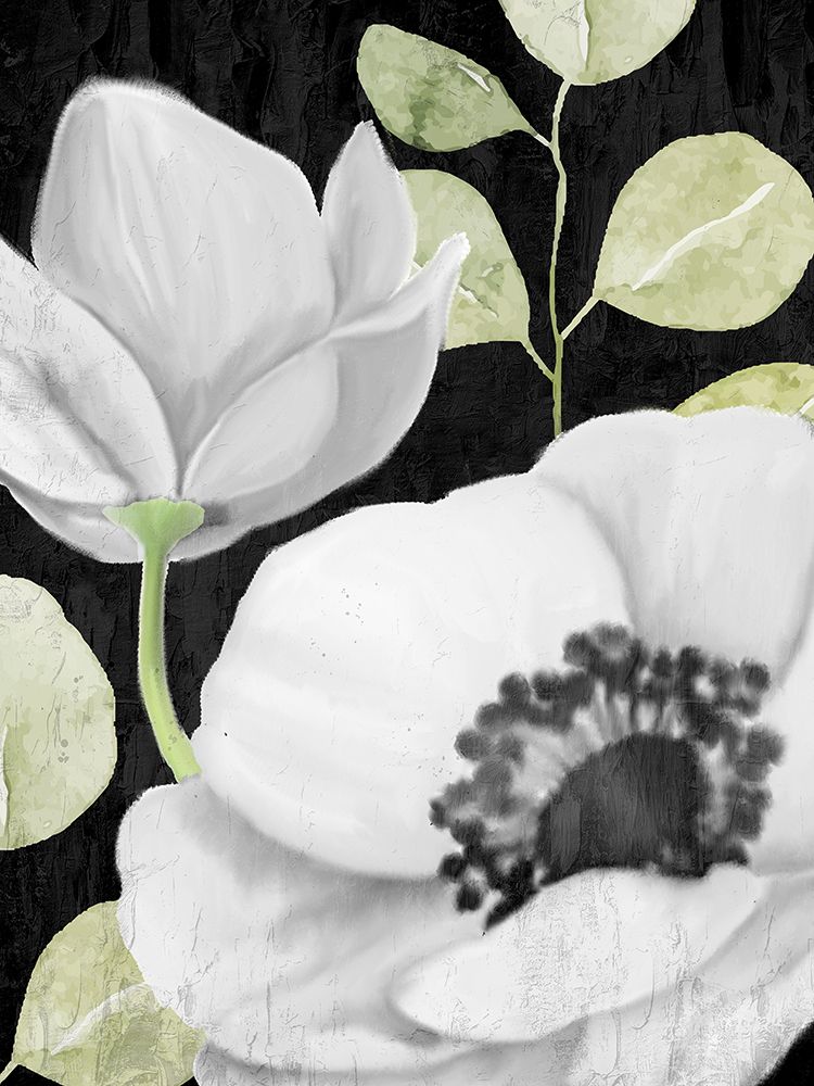 Anemone On Black 2 art print by Kimberly Allen for $57.95 CAD