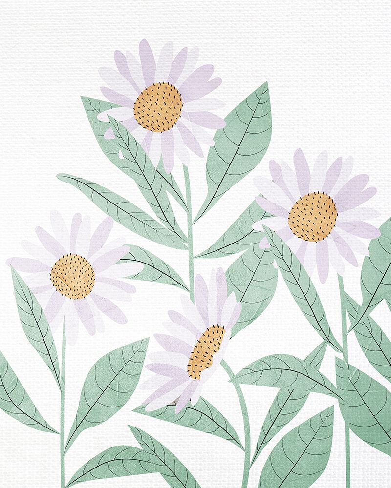 Daisies Floral art print by Kimberly Allen for $57.95 CAD