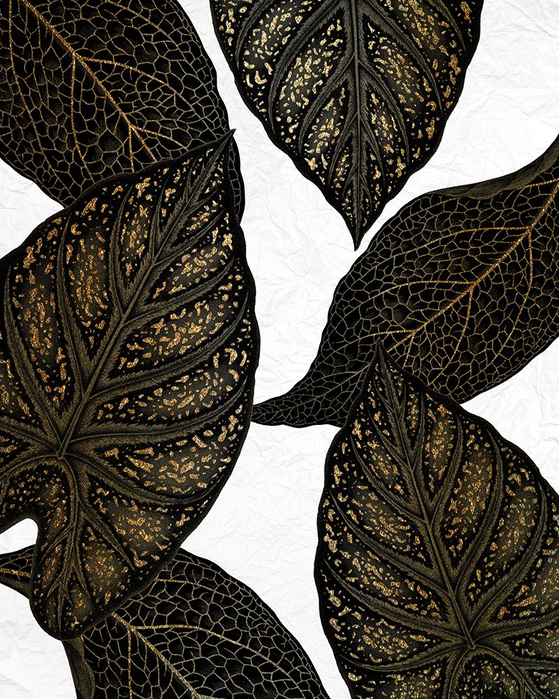Tropical Black 1 art print by Kimberly Allen for $57.95 CAD