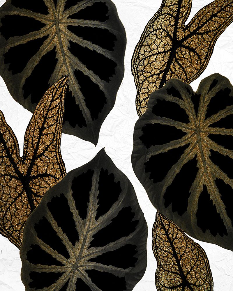 Tropical Black 2 art print by Kimberly Allen for $57.95 CAD