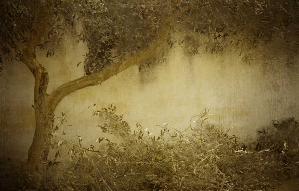 Olive Tree art print by Kimberly Allen for $57.95 CAD