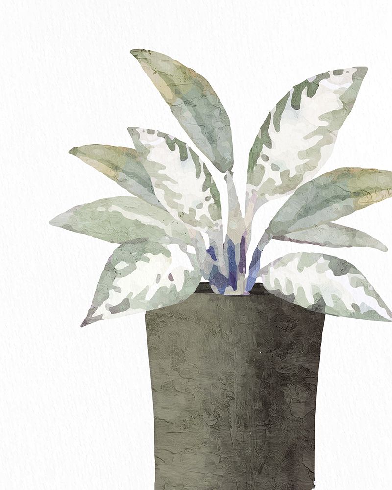 Olive Pot 2 art print by Kimberly Allen for $57.95 CAD