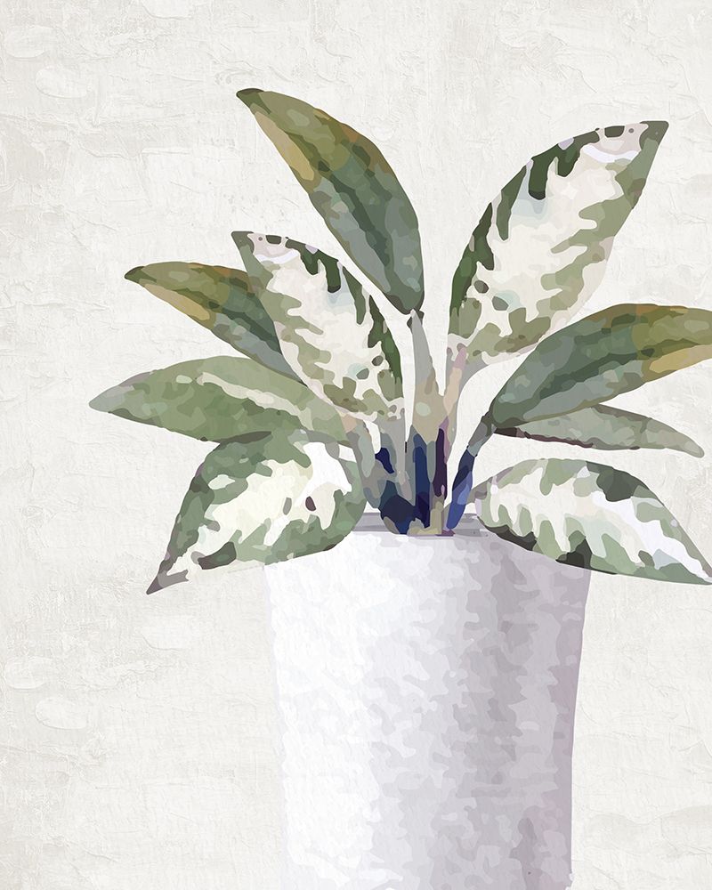 Plant 2 art print by Kimberly Allen for $57.95 CAD