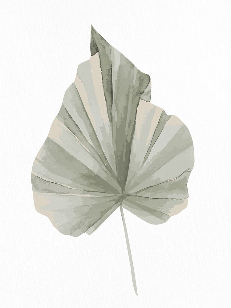 Soft Green 1 art print by Kimberly Allen for $57.95 CAD