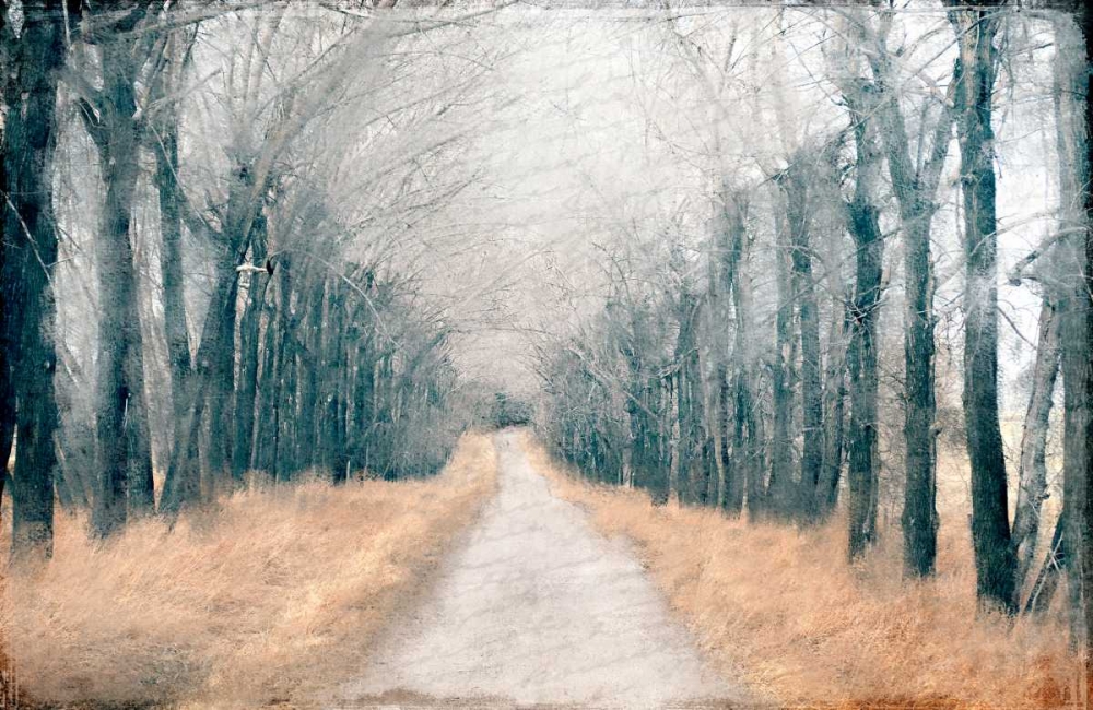 Pathway in the Mist art print by Kimberly Allen for $57.95 CAD