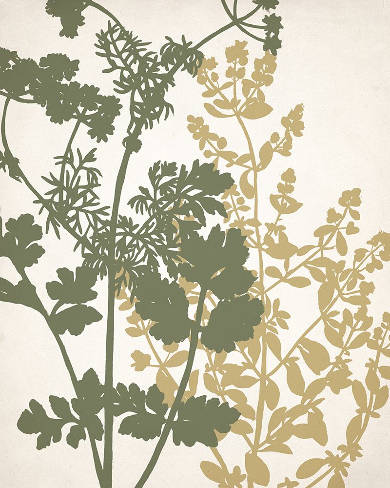 Botanical Spread 1 art print by Kimberly Allen for $57.95 CAD