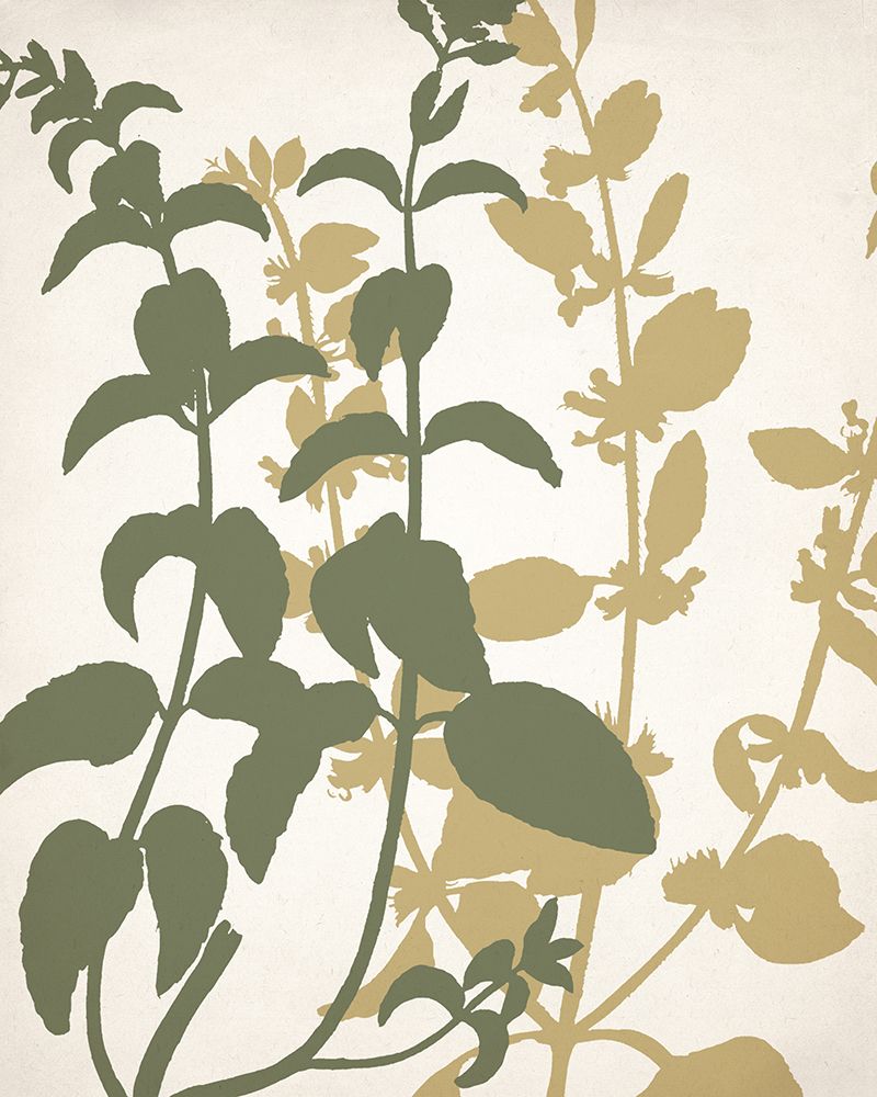 Botanical Spread 2 art print by Kimberly Allen for $57.95 CAD