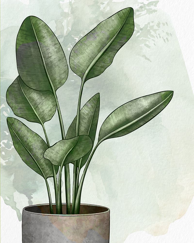 House Plant 1 art print by Kimberly Allen for $57.95 CAD