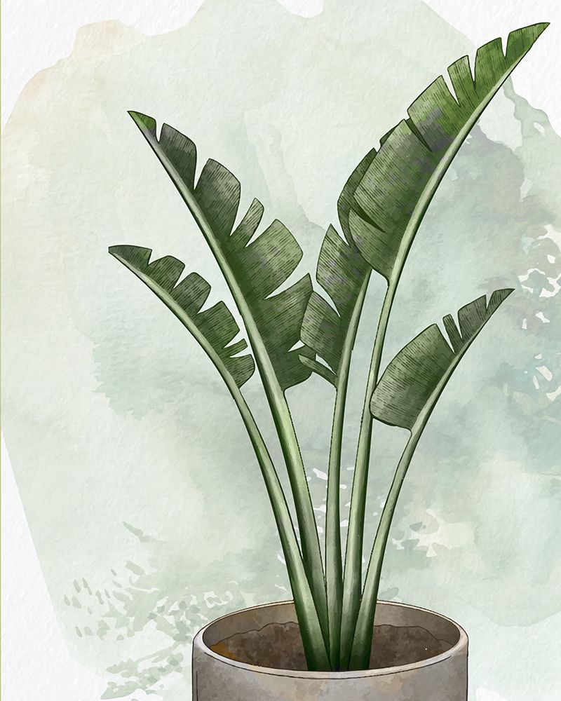 House Plant 2 art print by Kimberly Allen for $57.95 CAD