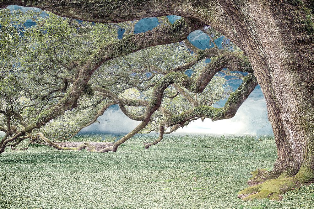 Under the Branches art print by Kimberly Allen for $57.95 CAD