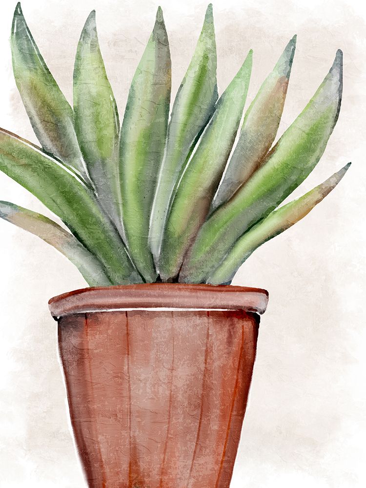 Succulent Plant 1 art print by Kimberly Allen for $57.95 CAD