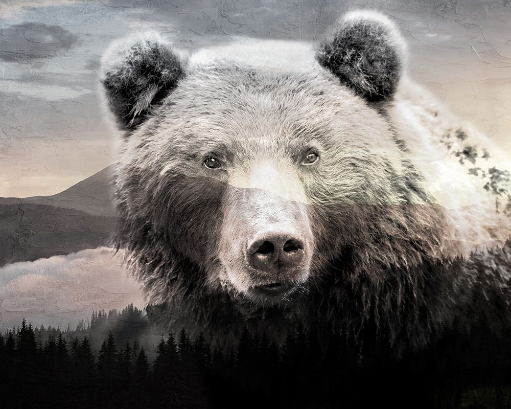 Bear Mountain art print by Kimberly Allen for $57.95 CAD
