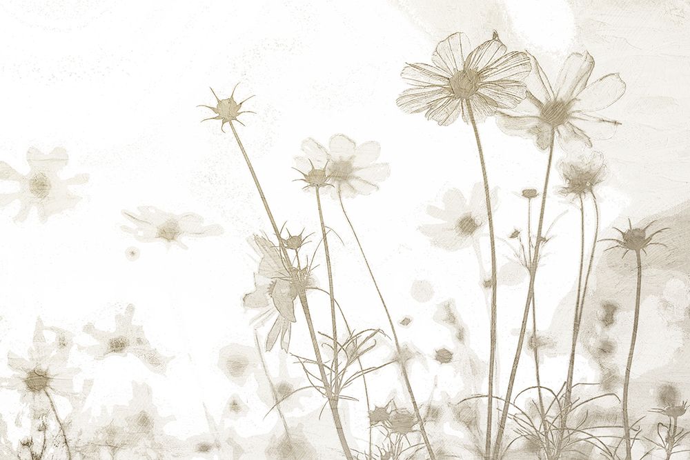Wildflowers art print by Kimberly Allen for $57.95 CAD