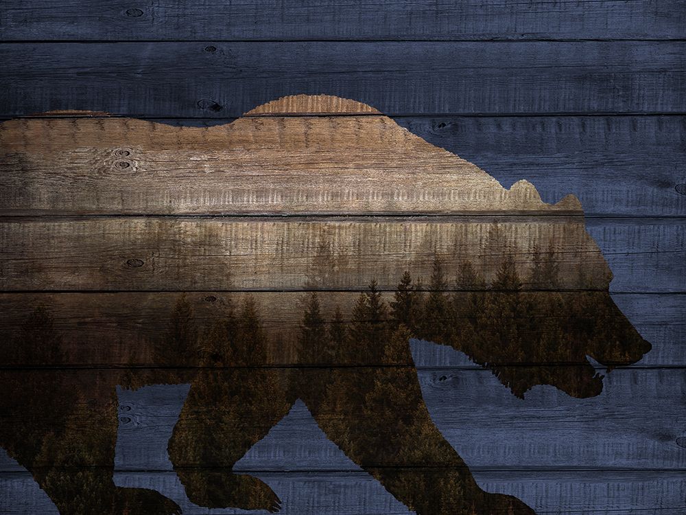 Bear In The Woods art print by Kimberly Allen for $57.95 CAD