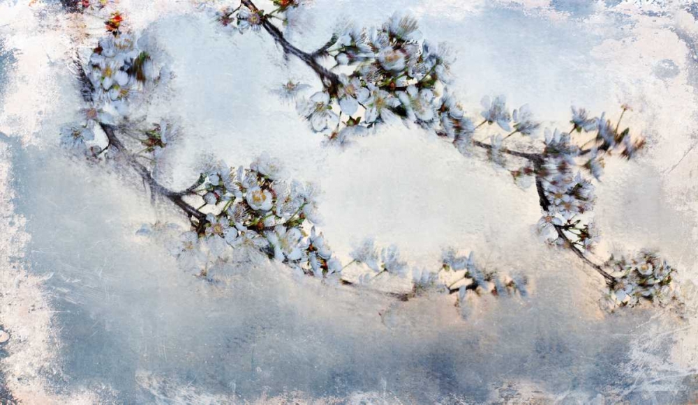 Magnolia Branch art print by Kimberly Allen for $57.95 CAD