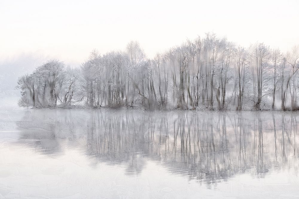 Mist Lake art print by Kimberly Allen for $57.95 CAD