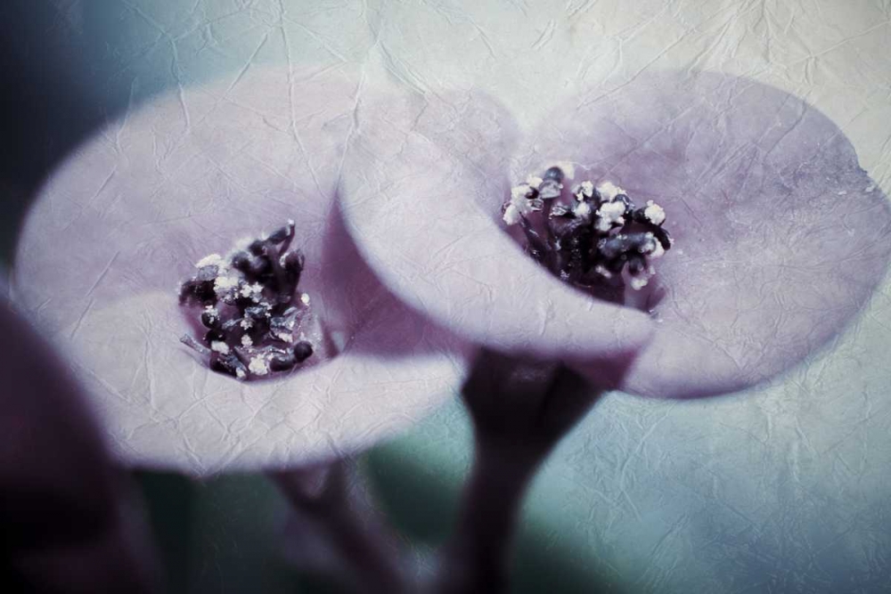 My View art print by Kimberly Allen for $57.95 CAD