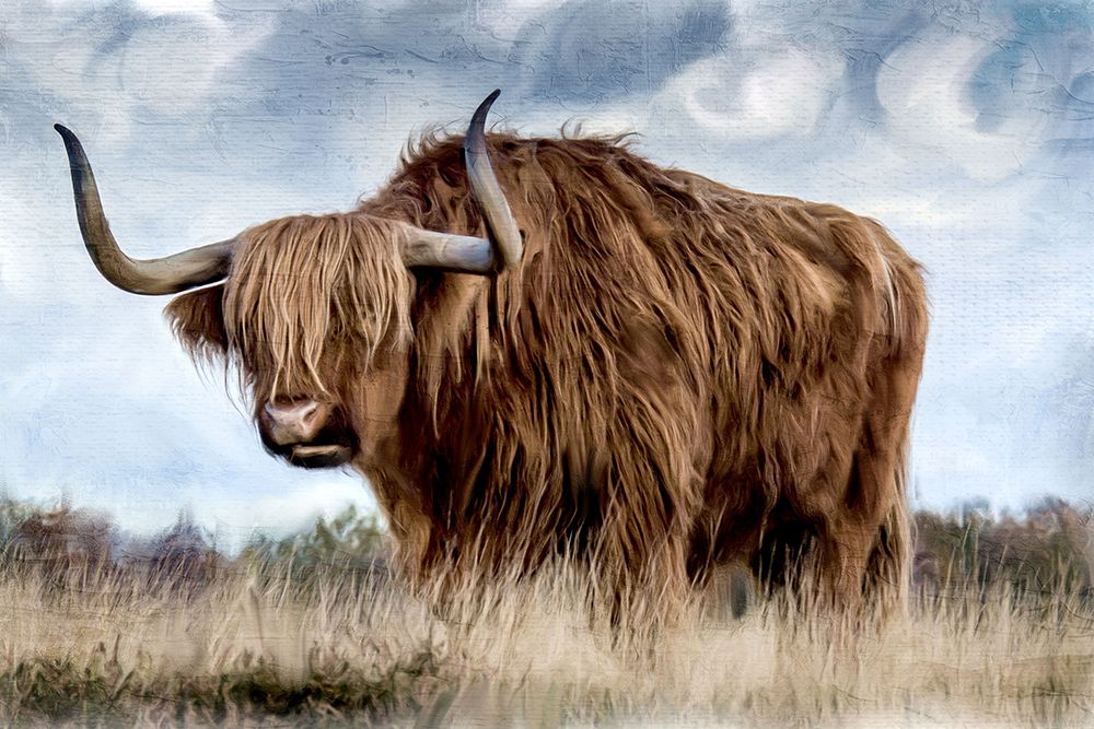 Long Horn V2 art print by Kimberly Allen for $57.95 CAD