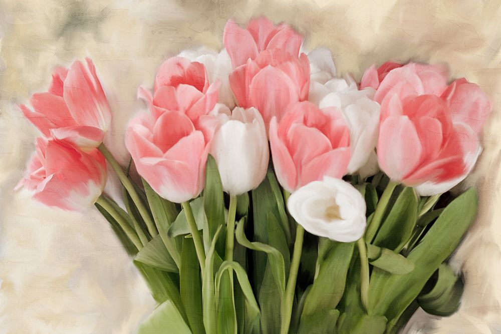 Pink And White Tulips art print by Kimberly Allen for $57.95 CAD