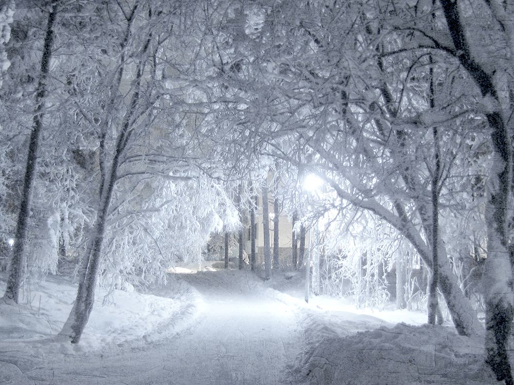 Winter Path art print by Kimberly Allen for $57.95 CAD