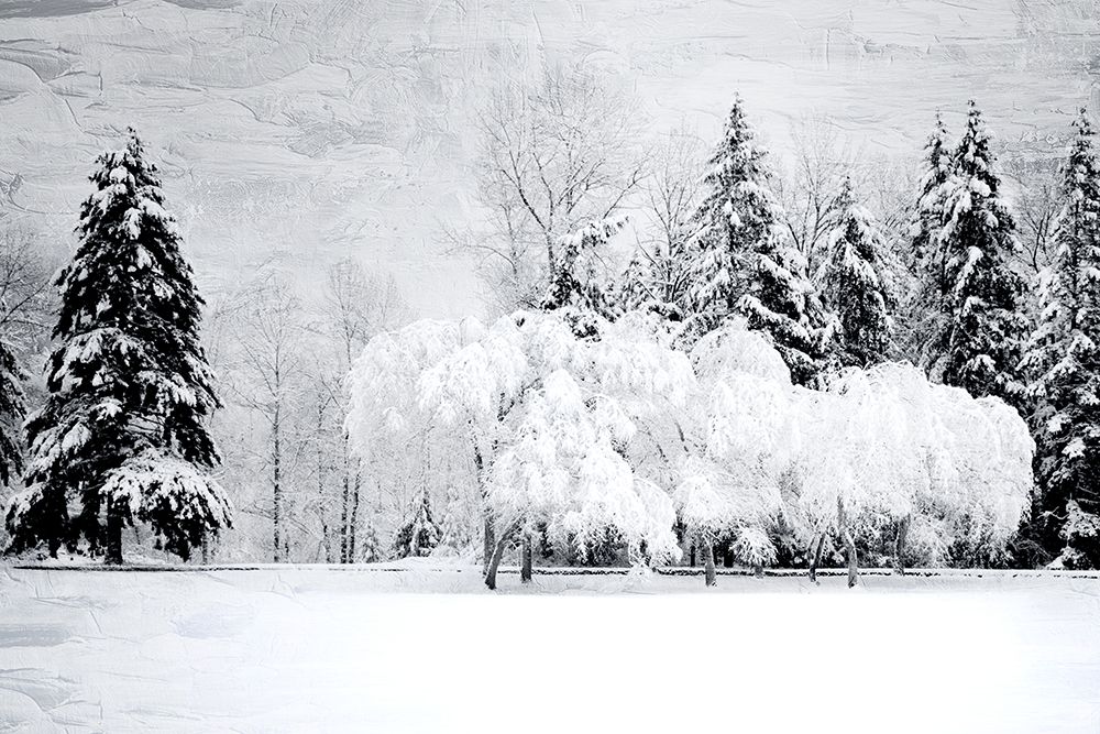 Winter Snow art print by Kimberly Allen for $57.95 CAD