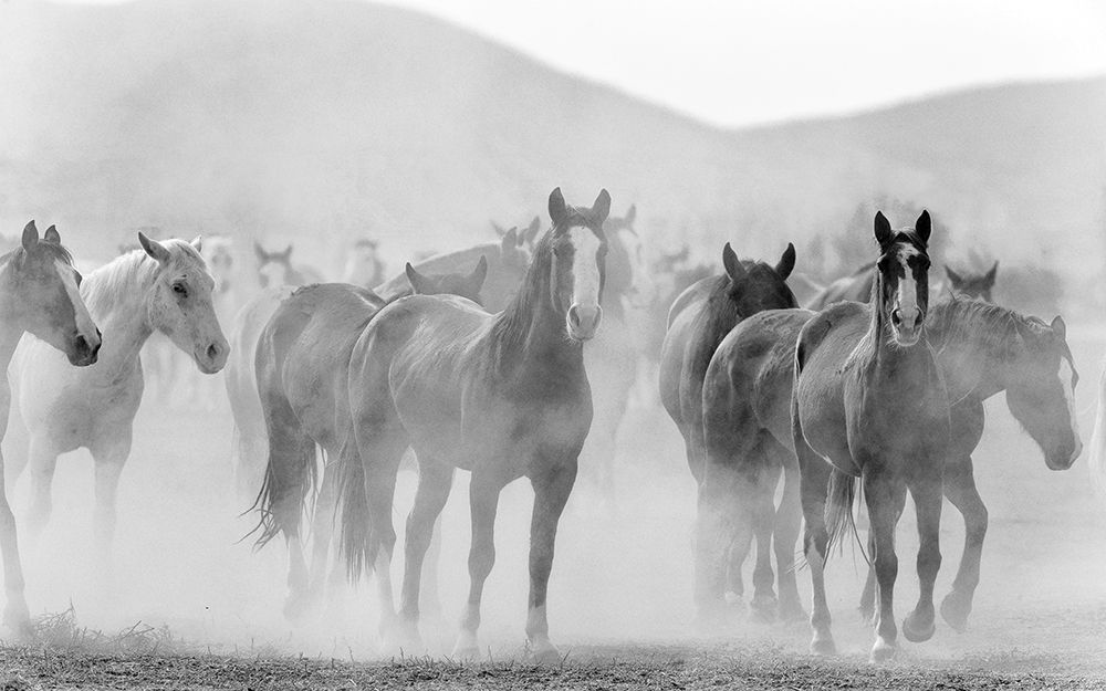 Run V2 art print by Kimberly Allen for $57.95 CAD