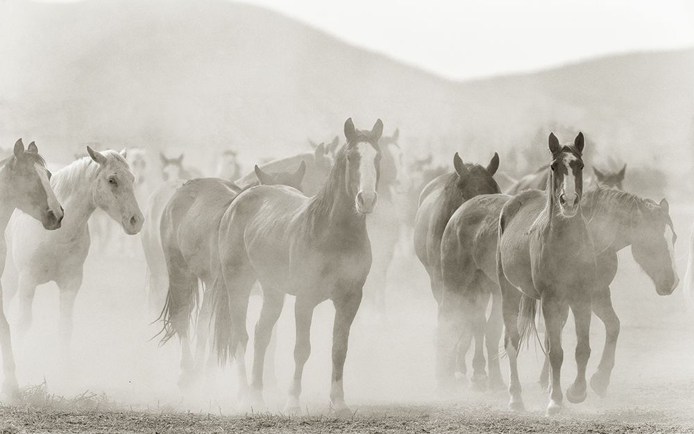 Run art print by Kimberly Allen for $57.95 CAD