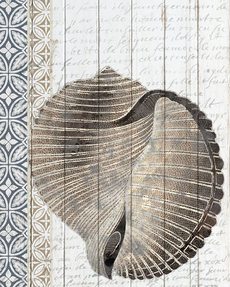 Shells 1 art print by Kimberly Allen for $57.95 CAD