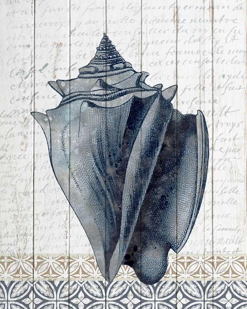 Shells 2 art print by Kimberly Allen for $57.95 CAD