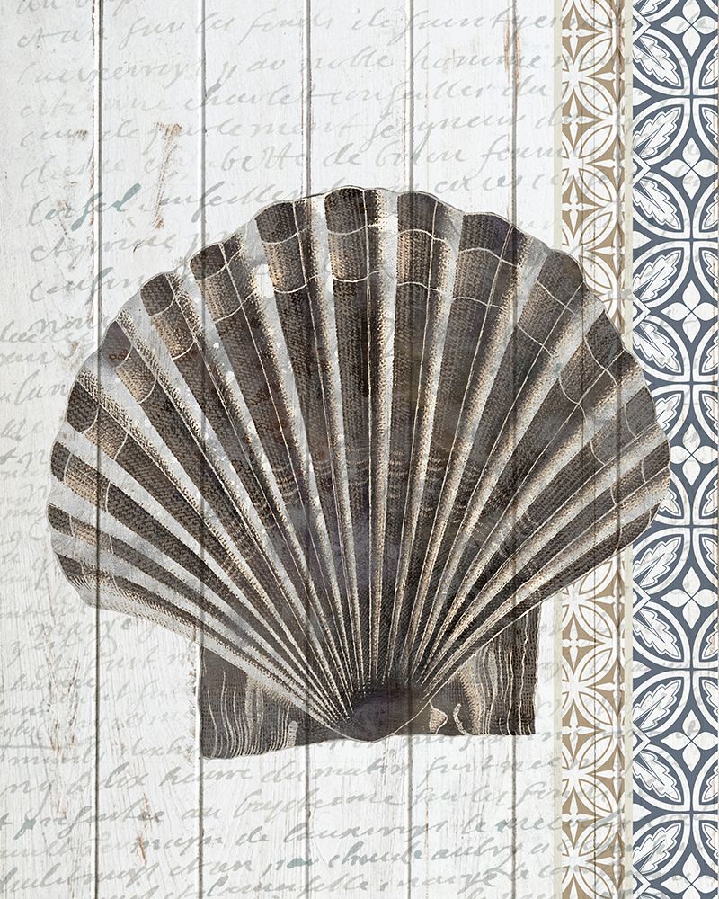Shells 3 art print by Kimberly Allen for $57.95 CAD