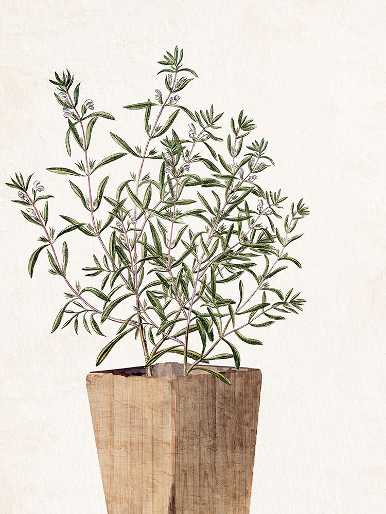 House Plant 1 art print by Kimberly Allen for $57.95 CAD