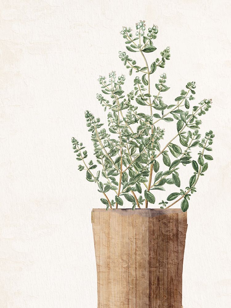 House Plant 2 art print by Kimberly Allen for $57.95 CAD