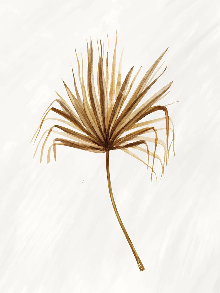 Palmetto 1 art print by Kimberly Allen for $57.95 CAD