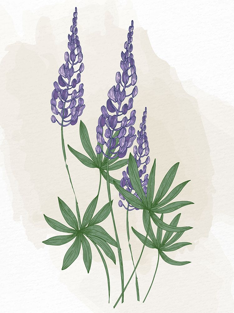 Bluebonnet 1 art print by Kimberly Allen for $57.95 CAD