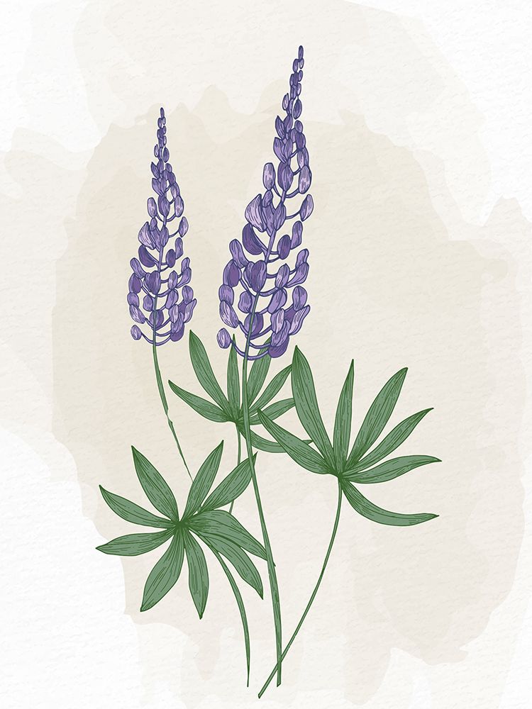 Bluebonnet 2 art print by Kimberly Allen for $57.95 CAD