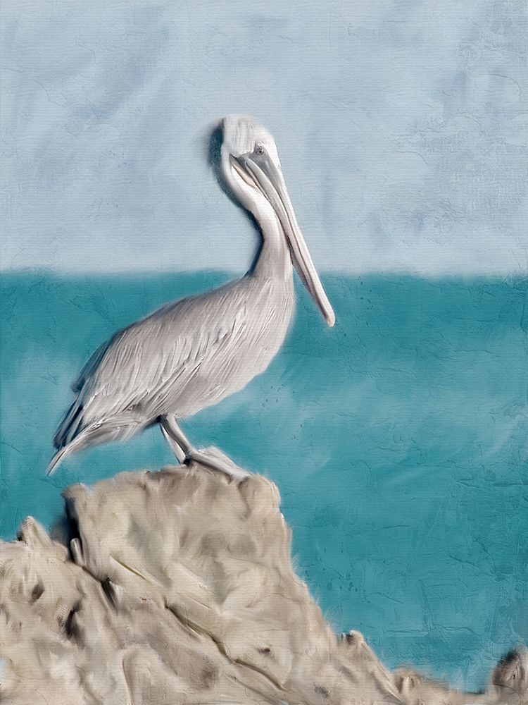 Pelican Perch art print by Kimberly Allen for $57.95 CAD