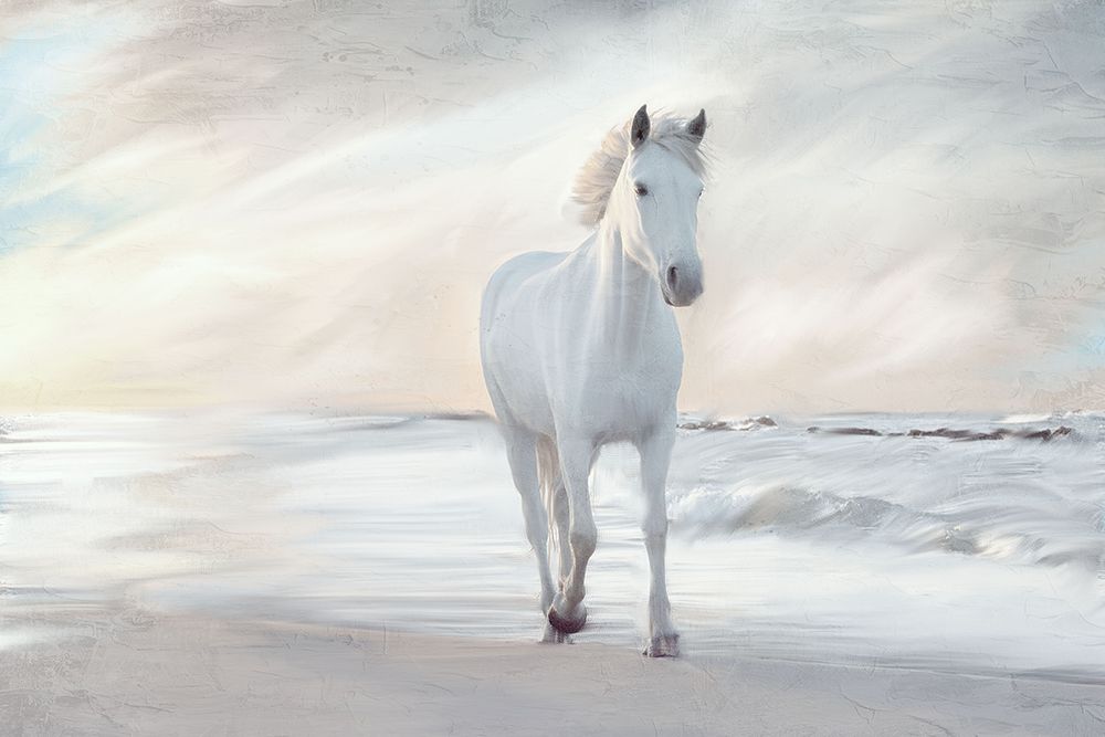 Solo art print by Kimberly Allen for $57.95 CAD