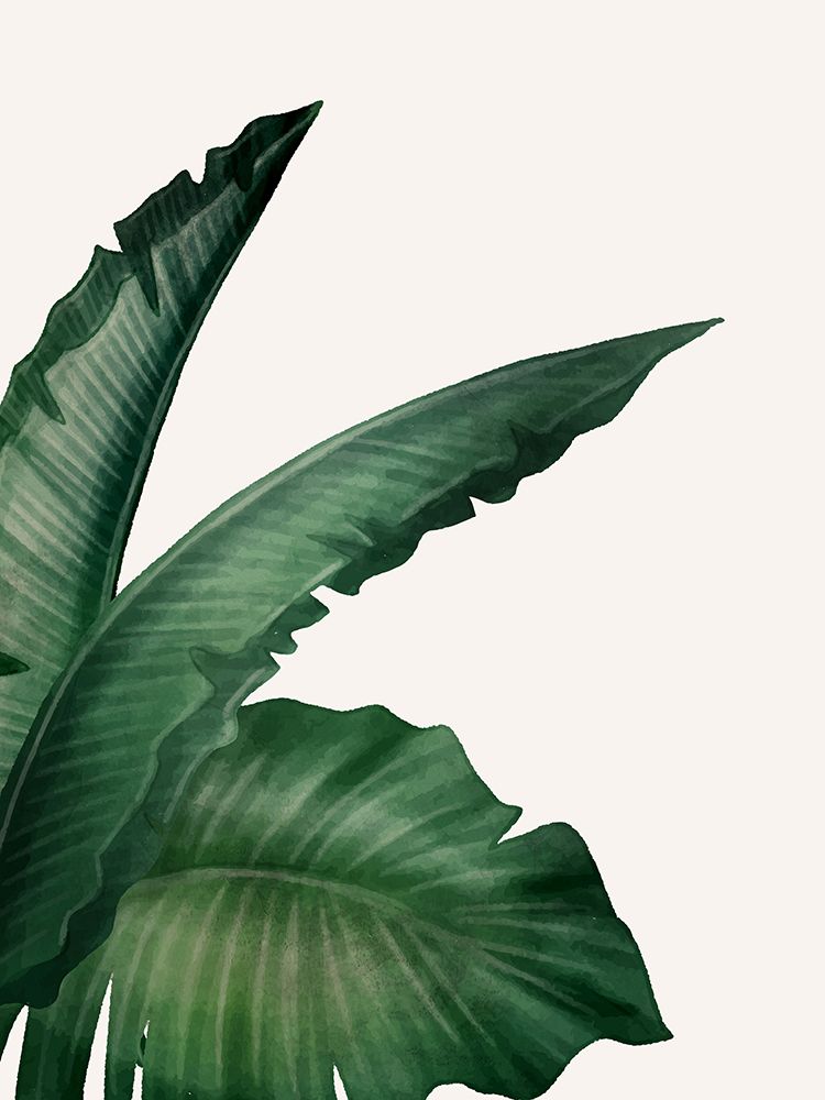 In the Palms 1 art print by Kimberly Allen for $57.95 CAD