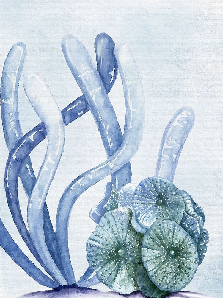 Blue Coral 1 art print by Kimberly Allen for $57.95 CAD